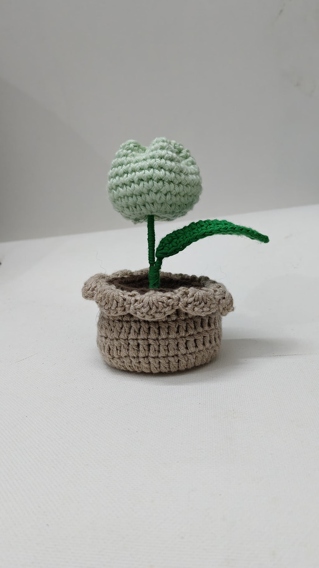Tulip Flower pot