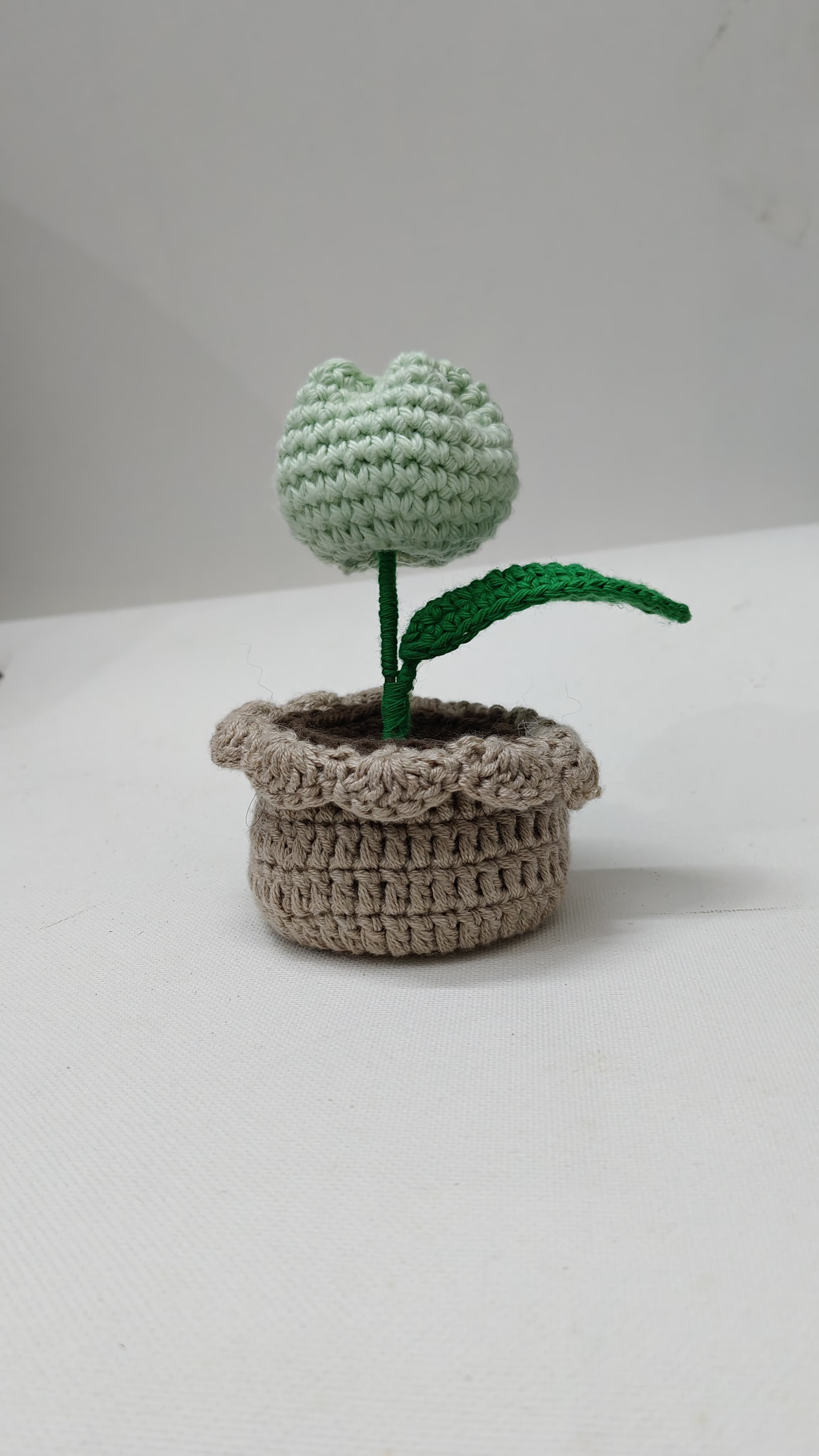 Tulip Flower pot