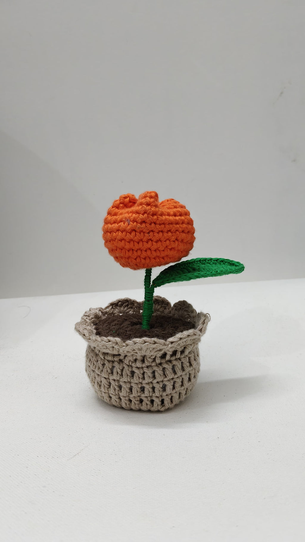 Tulip Flower pot