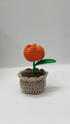 Tulip Flower pot