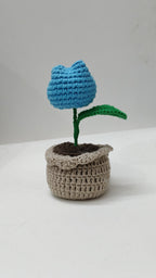 Tulip Flower pot