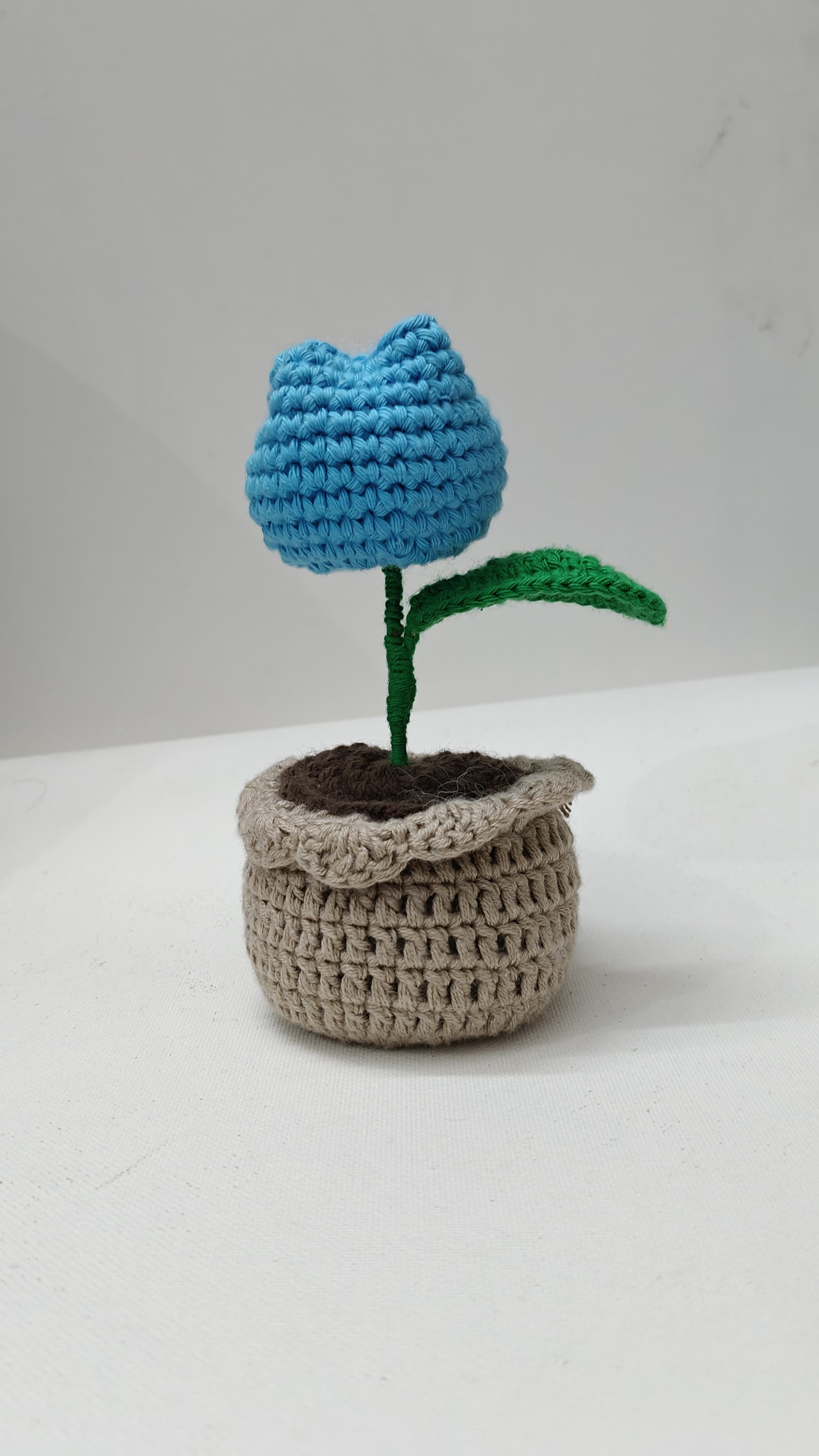Tulip Flower pot